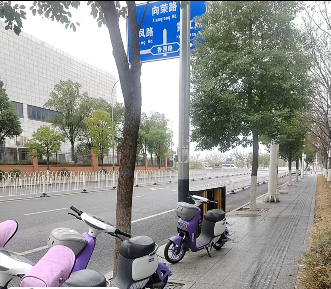 终于下雪了，虽不是漫天飞舞的雪花，仅仅只是零零碎碎的雪粒。
也许，人生也即如此。