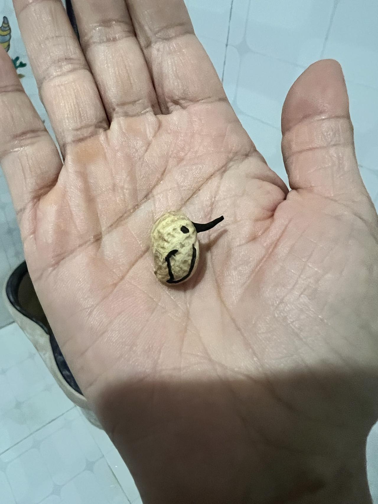 我是一只小小鸟，怎么也飞不高