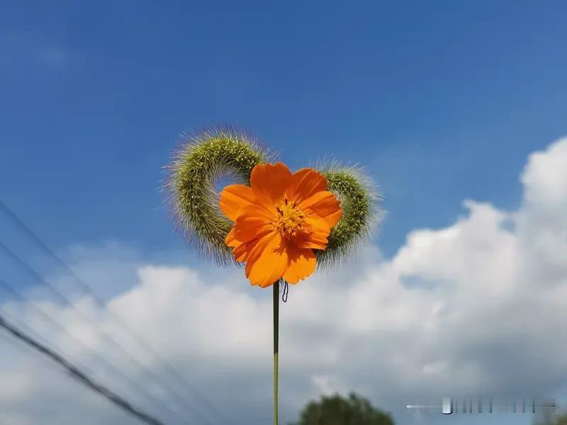 我经常安慰自己“一切都会好起来的”。就像之前工作上碰到个超级棘手的事，连续加班好