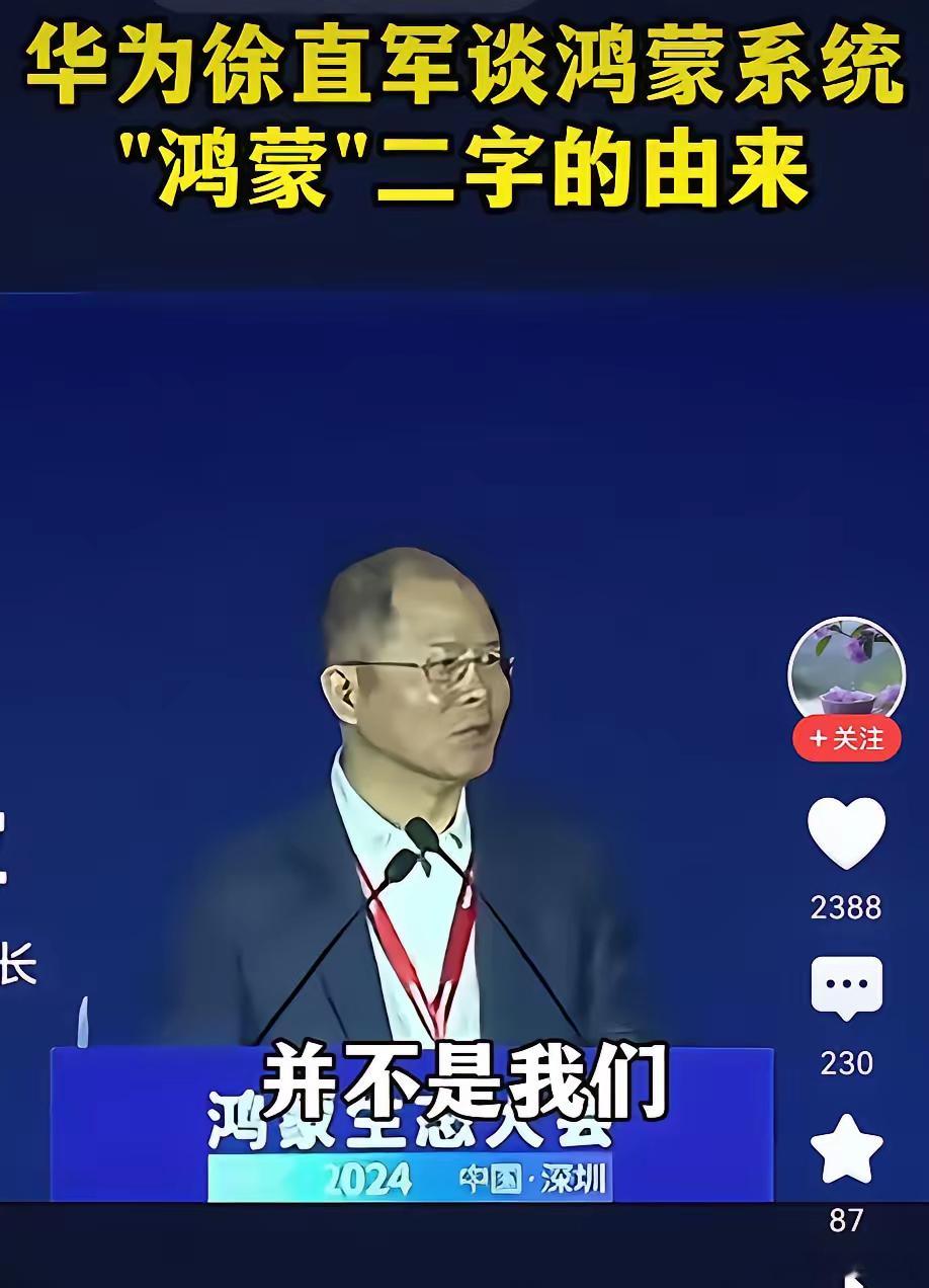 华为“唯一一次妥协”，鸿蒙本来不叫鸿蒙，是大家这么叫的就变成鸿蒙了，也是在被打压