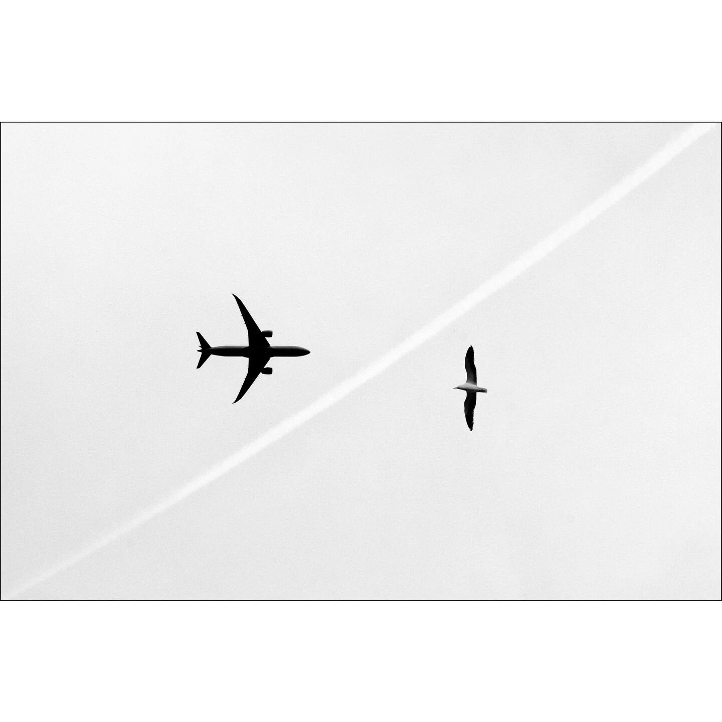 开车走错路时，导航从来不会责备你：“你怎么这么蠢，这都能开错。”它只会冷静地说一