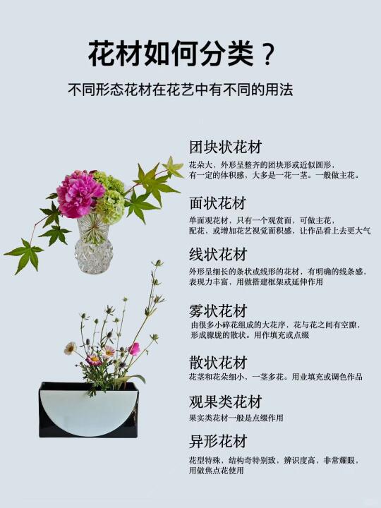 花艺新手必备|1⃣次讲透花材分类和花艺运用