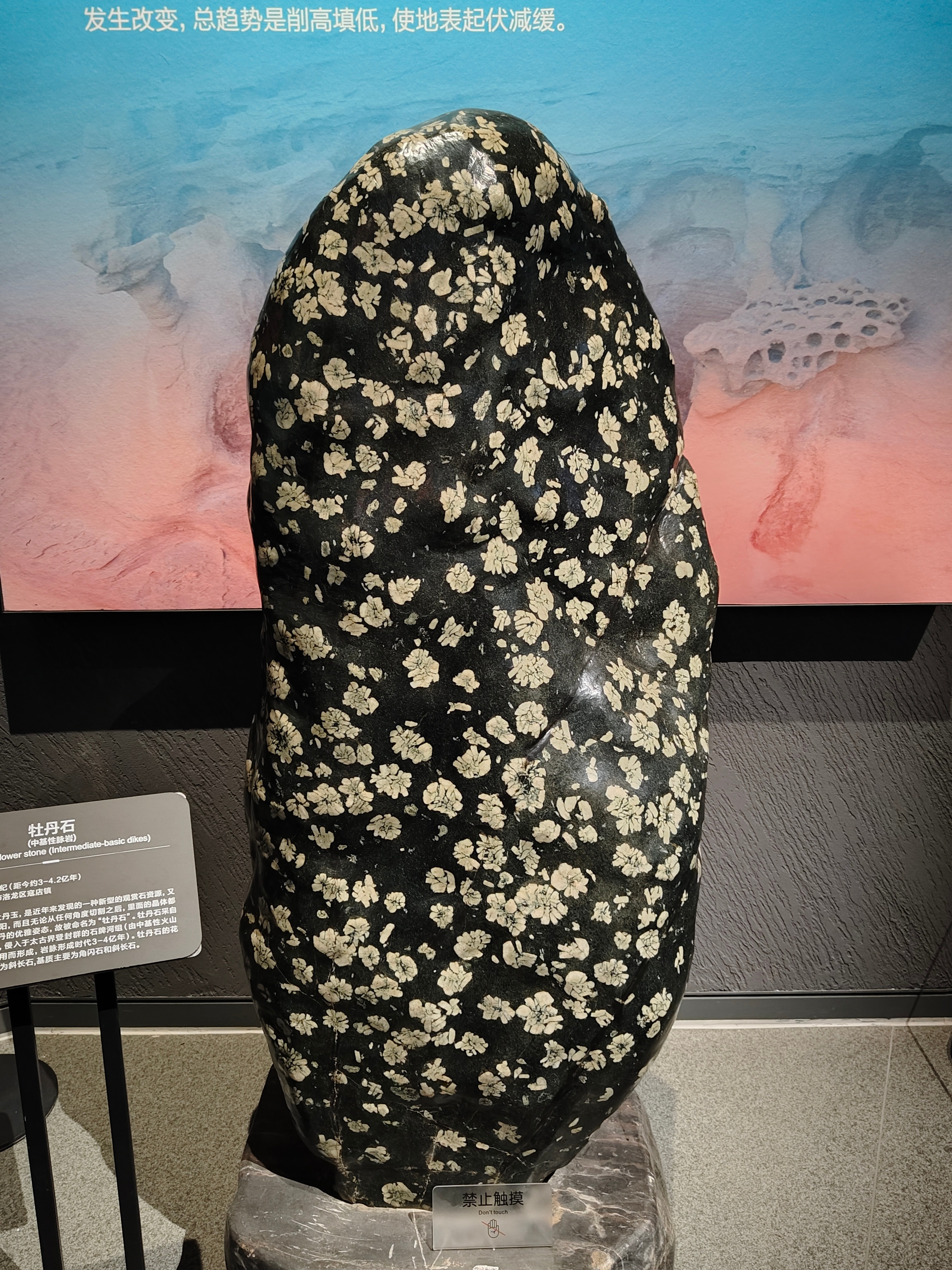 夜华 是你吗 夜华 