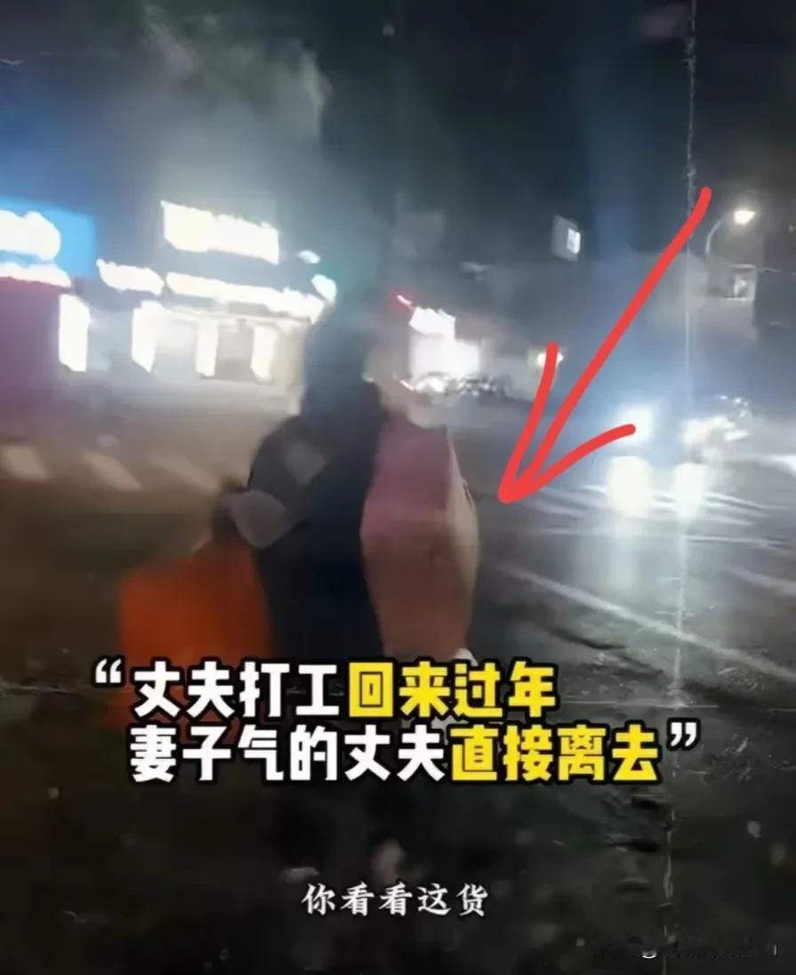 男子在外打工一年，提前十多天回家过年，刚到家就被媳妇怒骂挣钱少，男子一气之下冒着