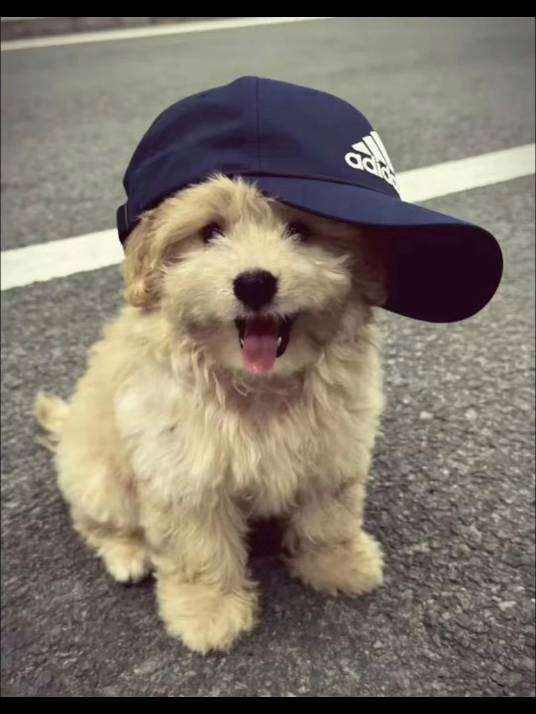 人并不是一个善于自我驱动的物种，哪怕是在自己最喜欢的事情上，人都会不那...