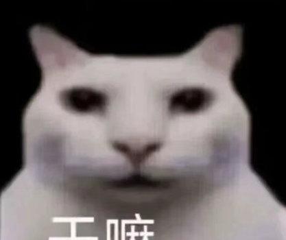感觉王一博肖战在内娱谈一场人尽皆知的地下恋…… ​​​