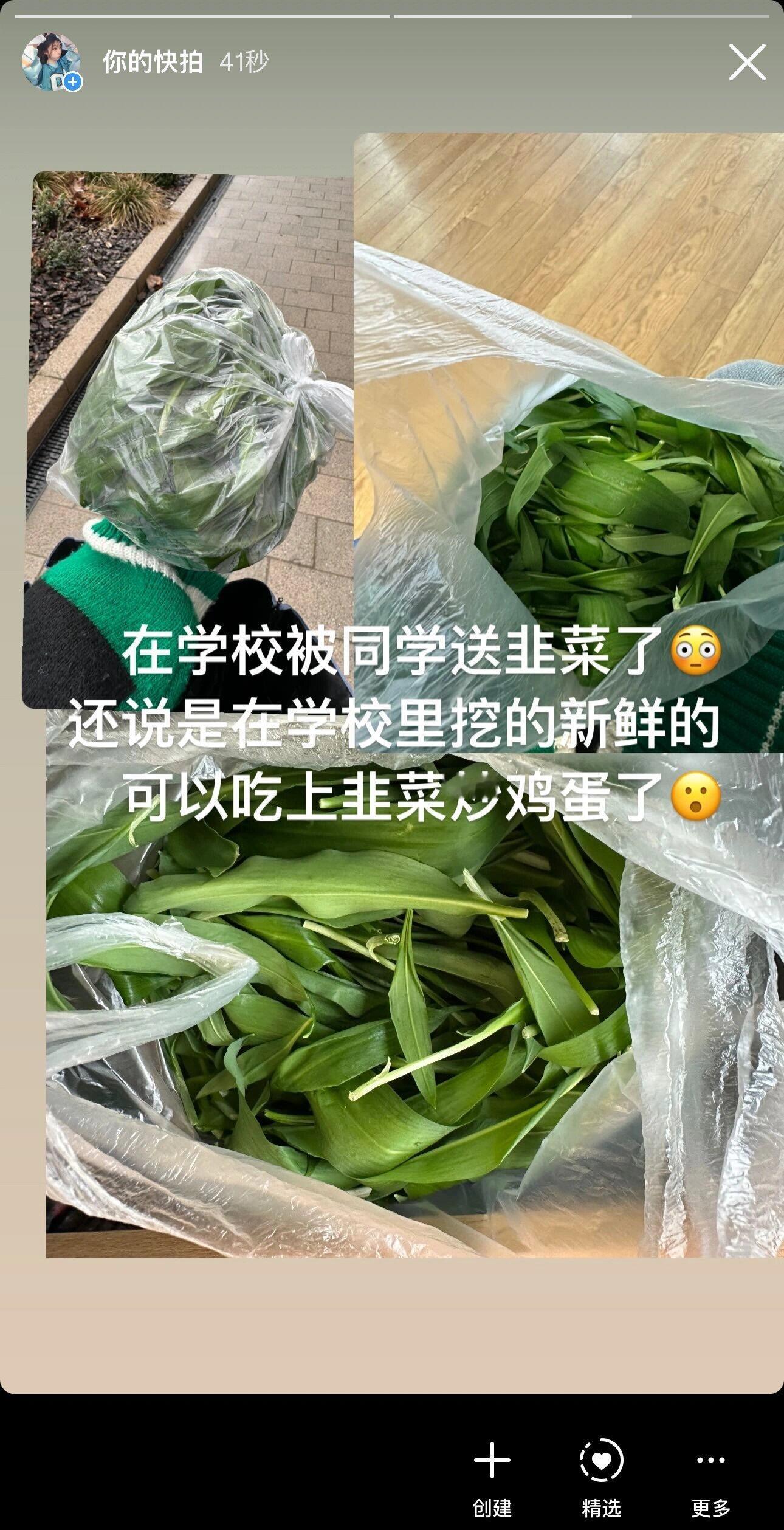 留学福利 在学校摘野菜 ​​​
