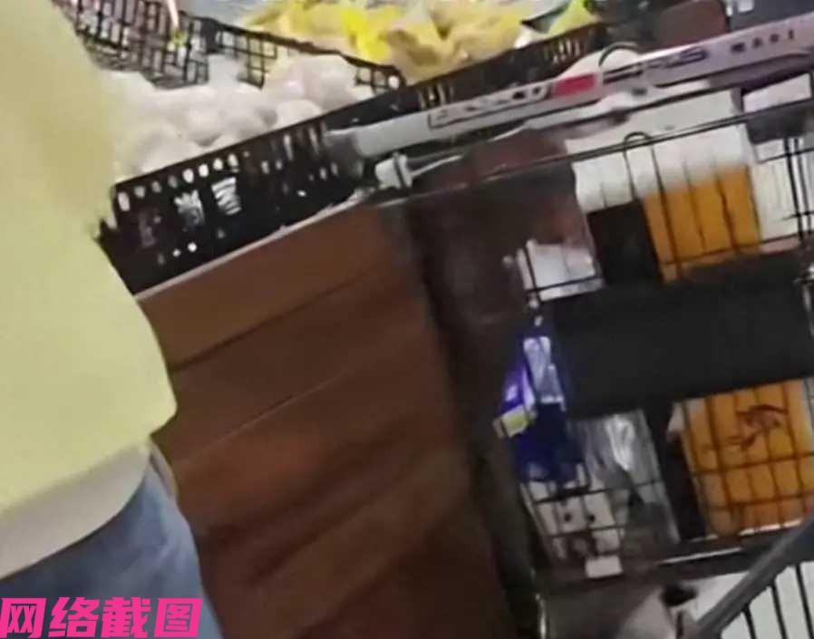 内蒙古鄂尔多斯某个超市内，有女子用购物车把宠物狗狗也随之带进超市，还在一旁挑选水