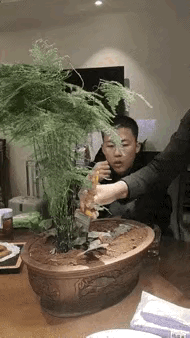 给这道菜取个大气而不失文雅的名字，你觉得叫什么合适？