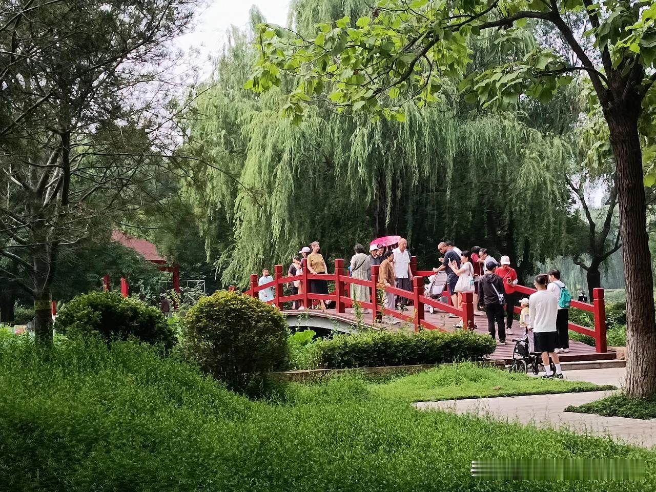 六月专属荷事悄然启幕，这份夏日限定欢喜，是与老友一拍即合的默契，更是满池荷花慷慨