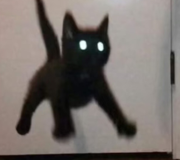 怎么笨成这样好难受aaaaaa 