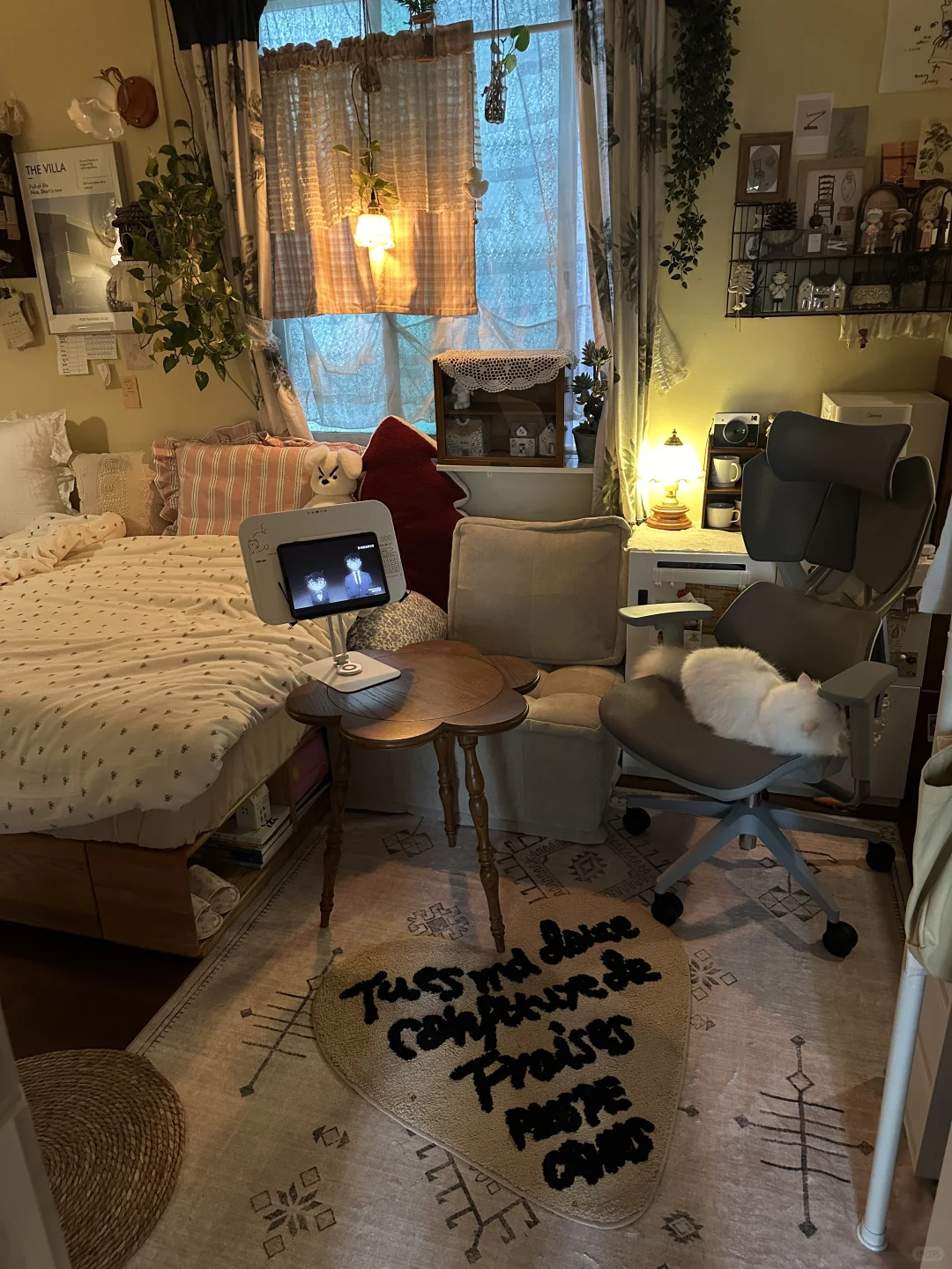 欢迎参观我的10平安全感小窝₌᳐･֊･₌᳐੭