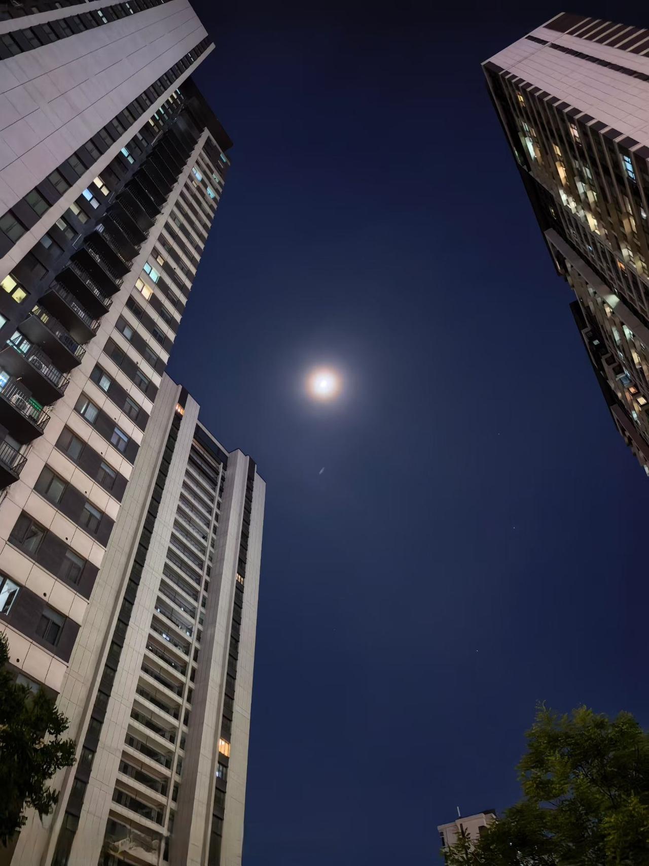 今晚的夜，今晚的月……

朋友今天晚上拍的一幅图片，很有意境，现在这个年代，还有