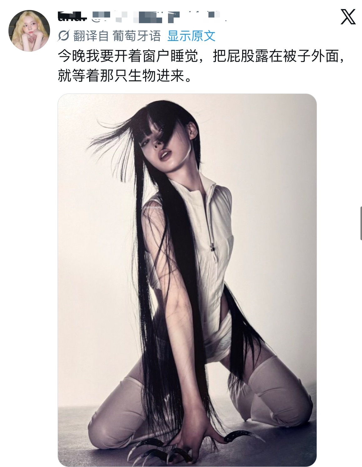自从推特有了自动翻译，我每天都在感同身受