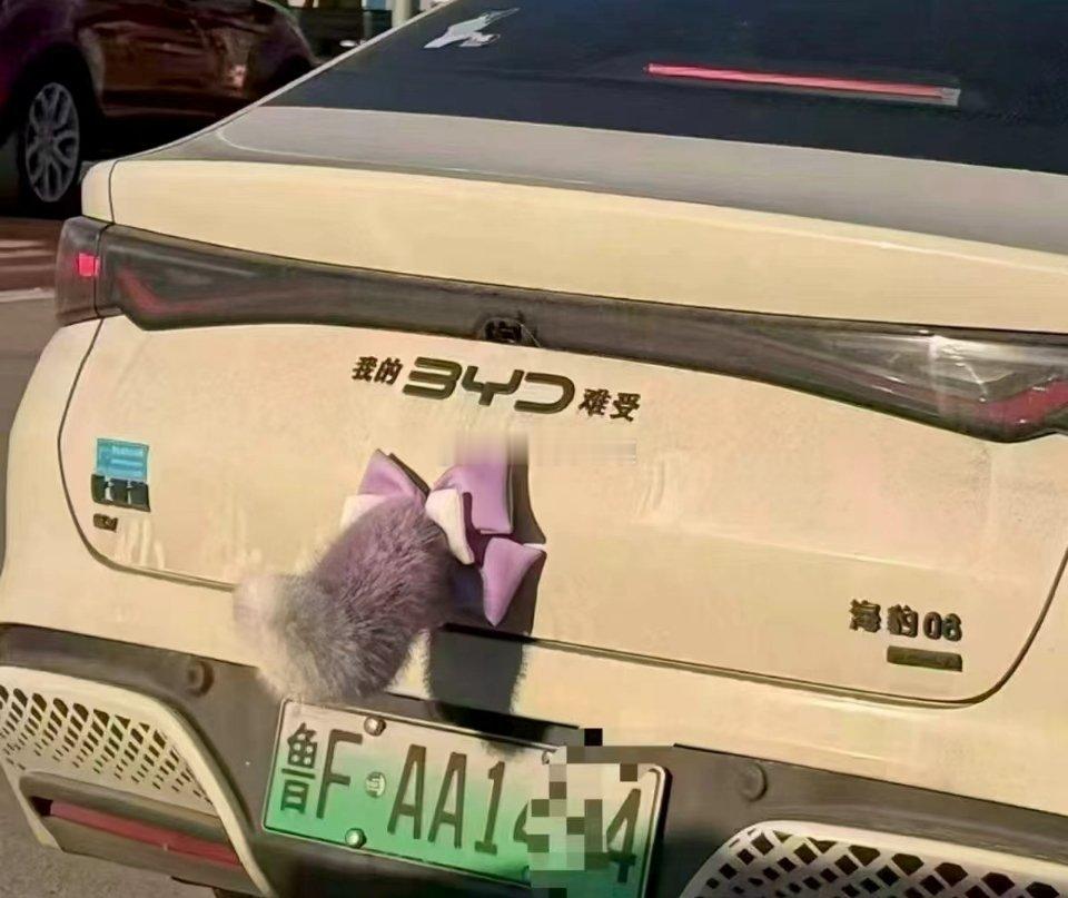 给比亚迪车主长点脸吧，好吗 ​​​