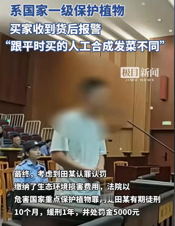 “买到真的还不满意了？”江苏南京，一男子花65元在网上买了50克的野生发菜，却觉