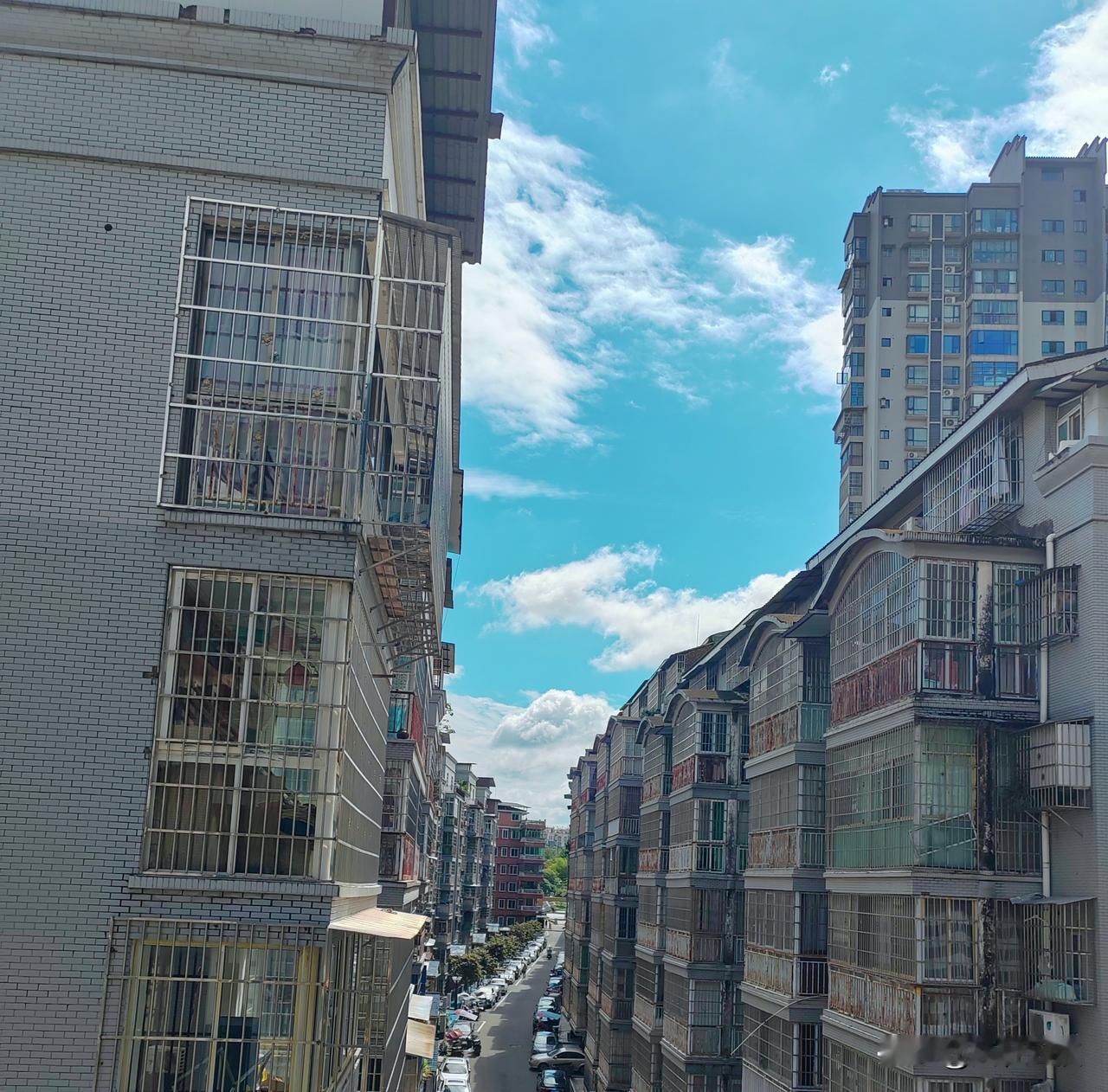 秋雨绵绵多日，今天终于放晴☀️
抬头望见干净透亮的蓝天，云也舒展。
雨歇天晴，忽