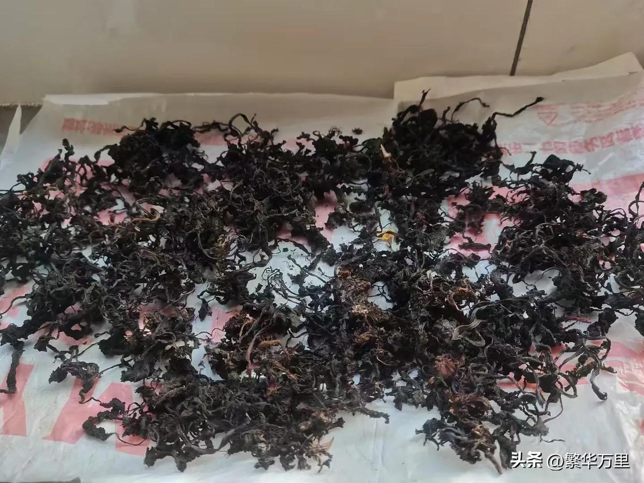养生开始[我想静静][我想静静][我想静静]