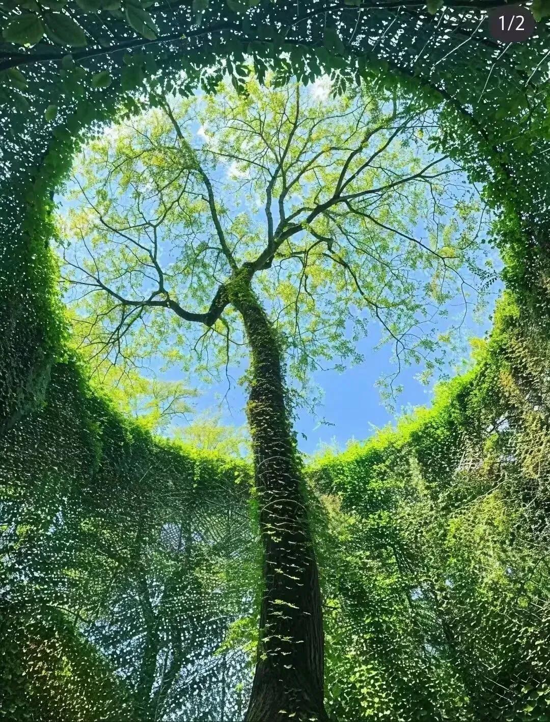 过来人的话，没过来的人是听不进去的。