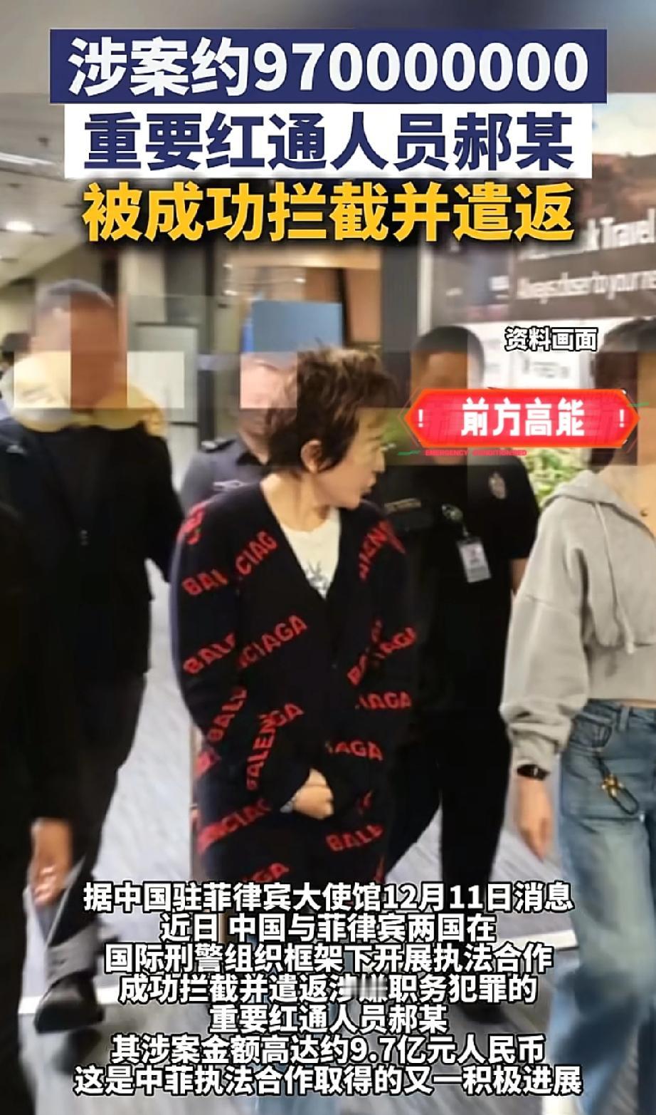 最近，
熊猫和菲律宾
在国际刑警组织的框架下联手开展执法协作，成功拦截并顺利遣返