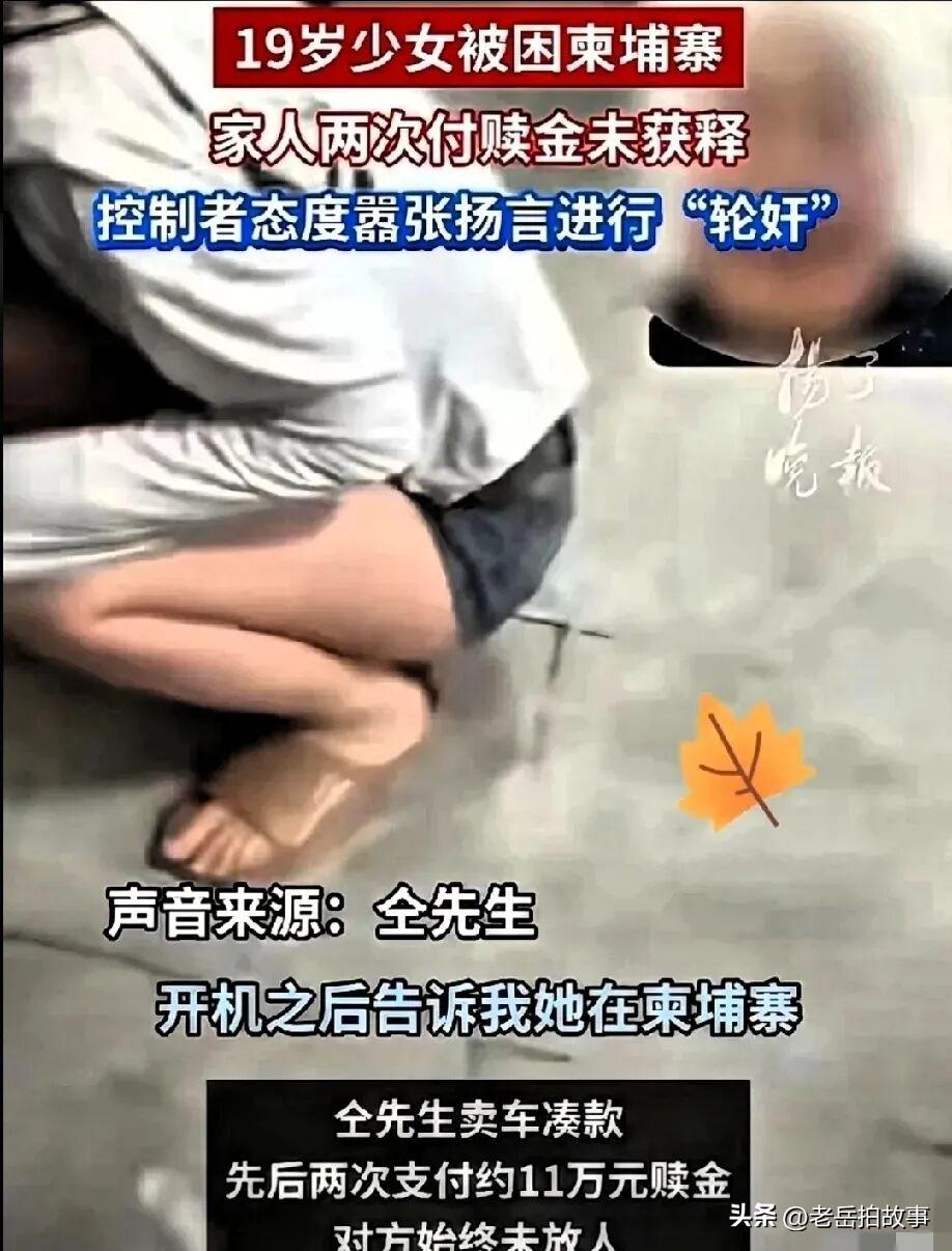 看了河南南阳一19岁女孩儿被困柬埔寨电诈园区的事情后，真是既气愤又窝火。要说19