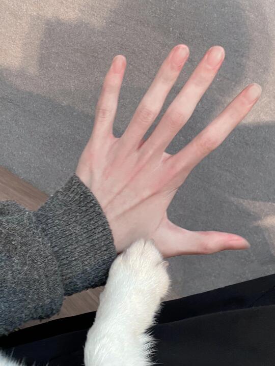 🧈狗爪是炼乳味吗？