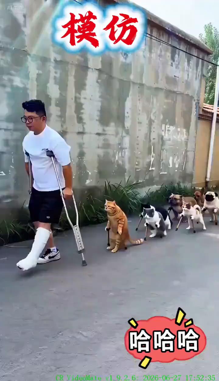 模仿。
即梦。