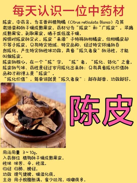 每天认识一位中药材-陈皮