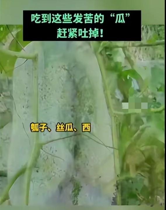 近日，安徽一老人做了一道菜，葫芦炖肉。他尝了尝，葫芦是苦的。于是就将肉挑出来吃了