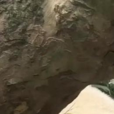 熊猫守护者 yy每日一善 愿我们的每一天, 都充满善意与温暖, 如阳光洒满人间,
