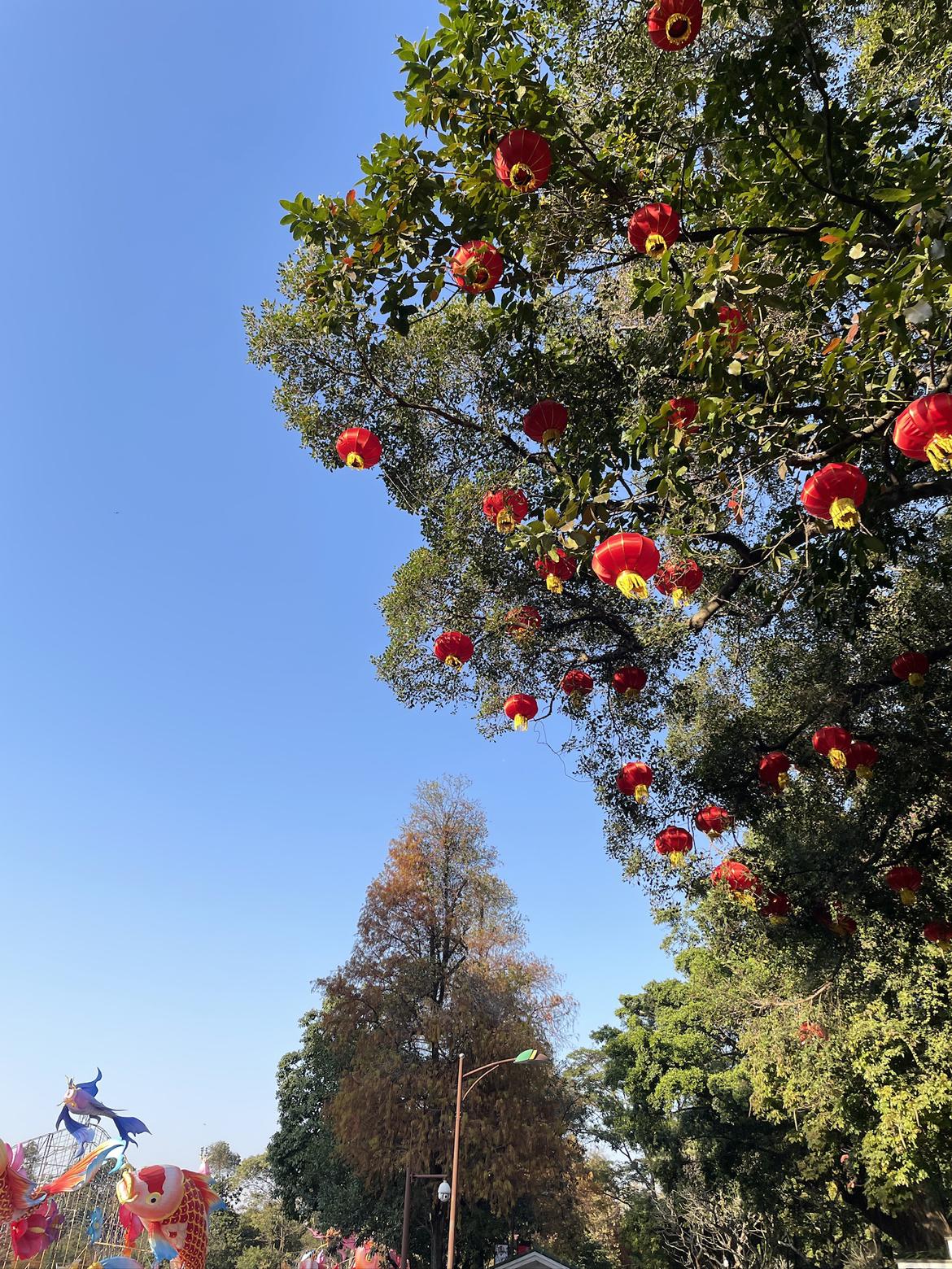 我的今日状态：😁轻松愉快
我这里的天气：🌤️多云