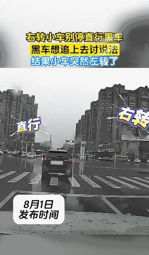 白车:有话你‘直’说，我先拐个弯。
黑车:我这么大体格子，被个小个蛋泡欺负了。