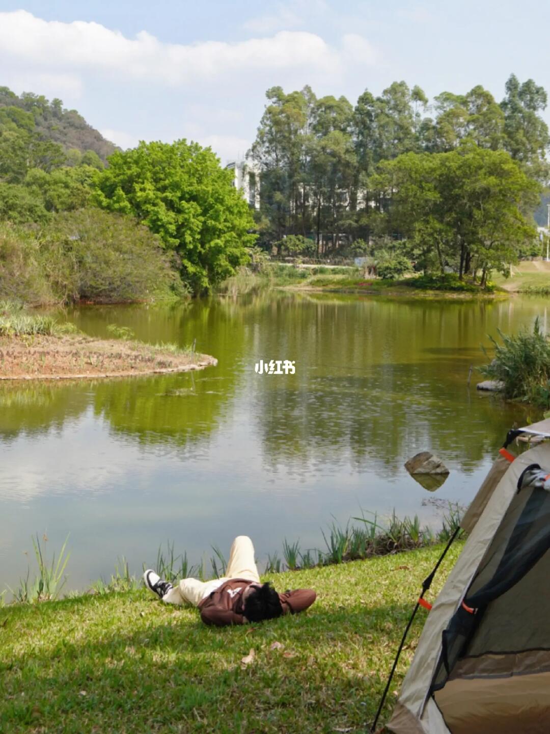 我敢说！这才是东莞市区的宝藏公园