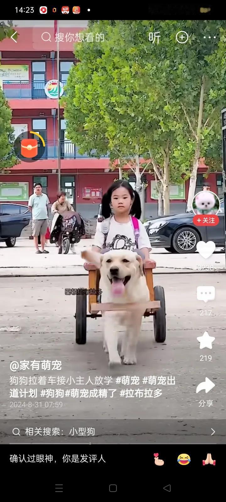 广东的一个5岁的小女孩去上幼儿园，等到下午放学的时候，看见了班级的同学都陆陆续续