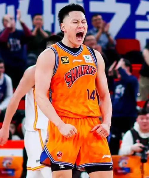 CBA第六轮国内球员表现TOP51.林庭谦  25分4篮板5助攻，天津104-7