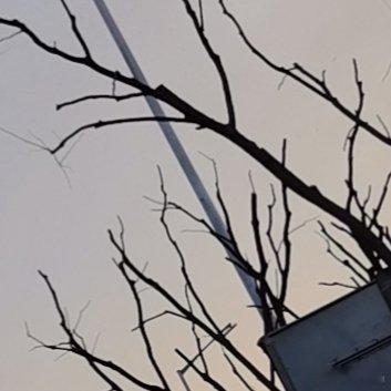 你把备忘录当成了树洞。里面写满了情绪，有些是写给前任的，有些是骂领导的，有些是对