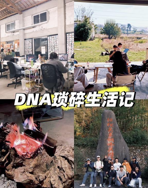 11-16DNA琐碎生活记
DNA琐碎生活记
周日前往独松关的徒步队伍相当壮观，