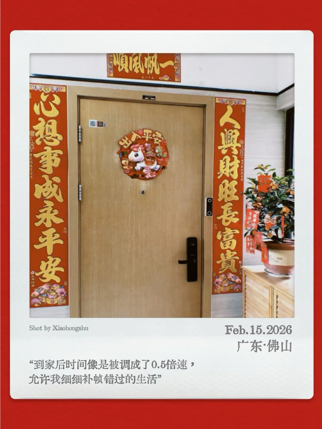 这一刻才算是到家 我是春节主理人