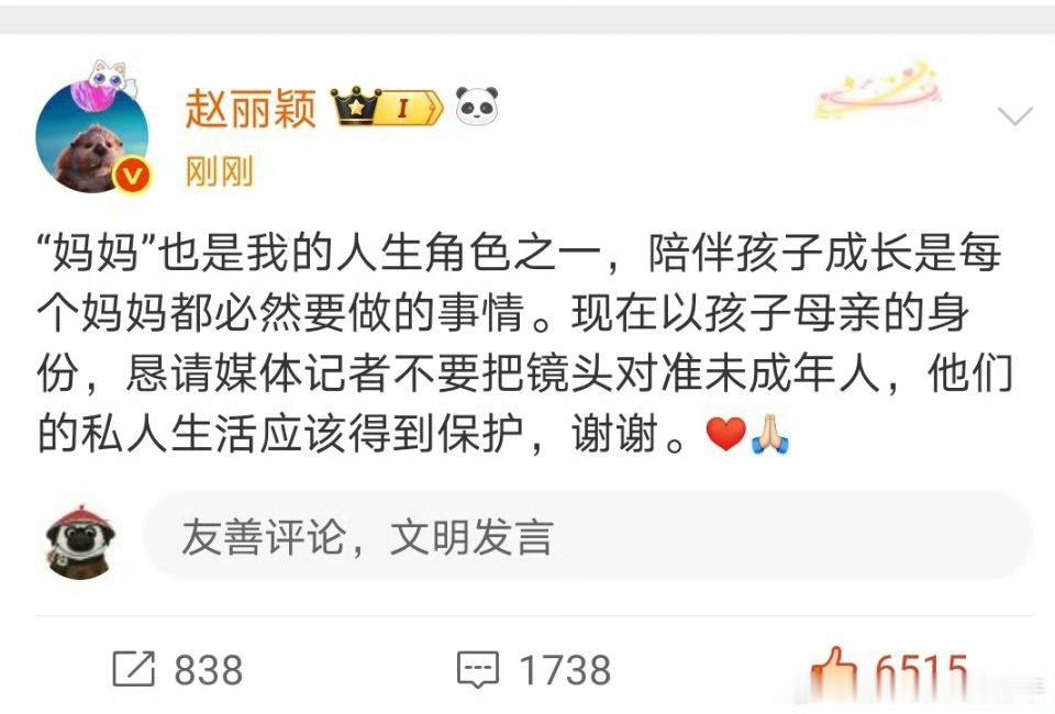 支持这个小丽，不良媒体天天拍孩子有🐱🥯[无聊]赵丽颖与儿子手拉手过马路赵丽颖