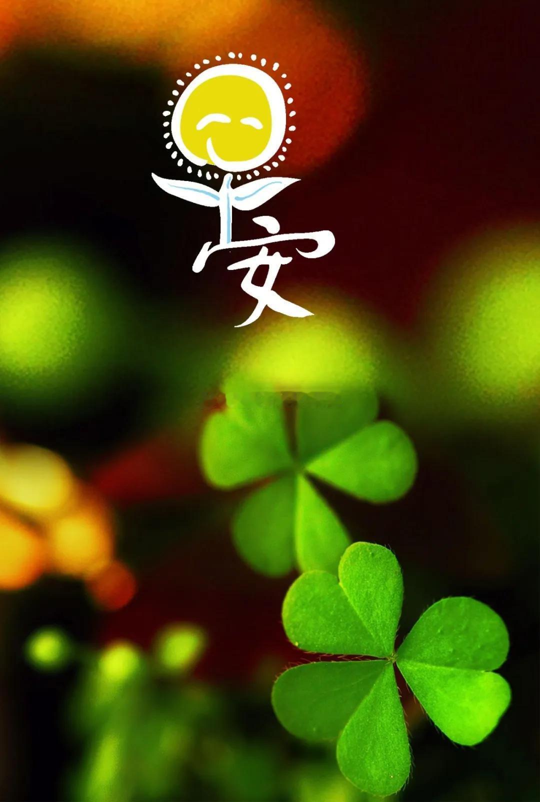 周三、早！市场诱惑再多，守住自身节奏最重要，不追单、不扛单，取舍有度。过往得失皆