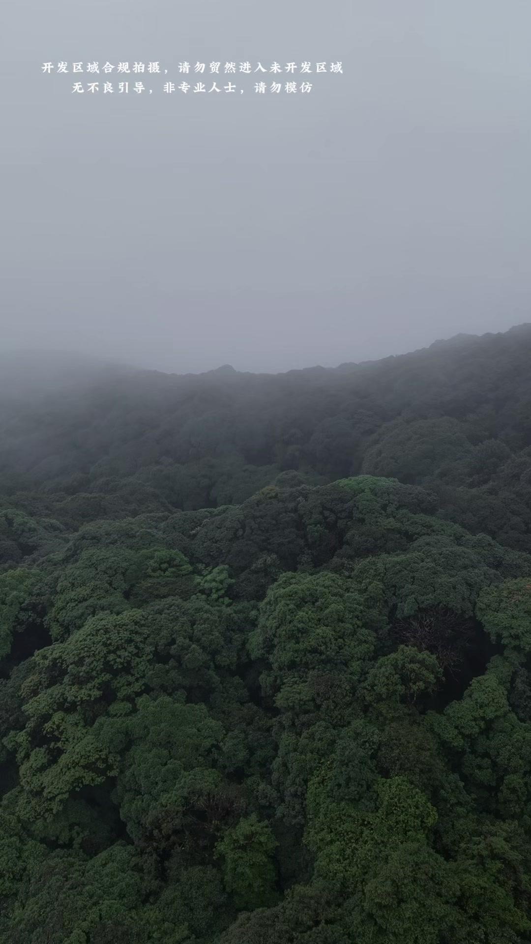 ✨无人机飞进茂密原始森林的技巧来啦
1️⃣熟练操控无人机，具备极强空间感，我用的