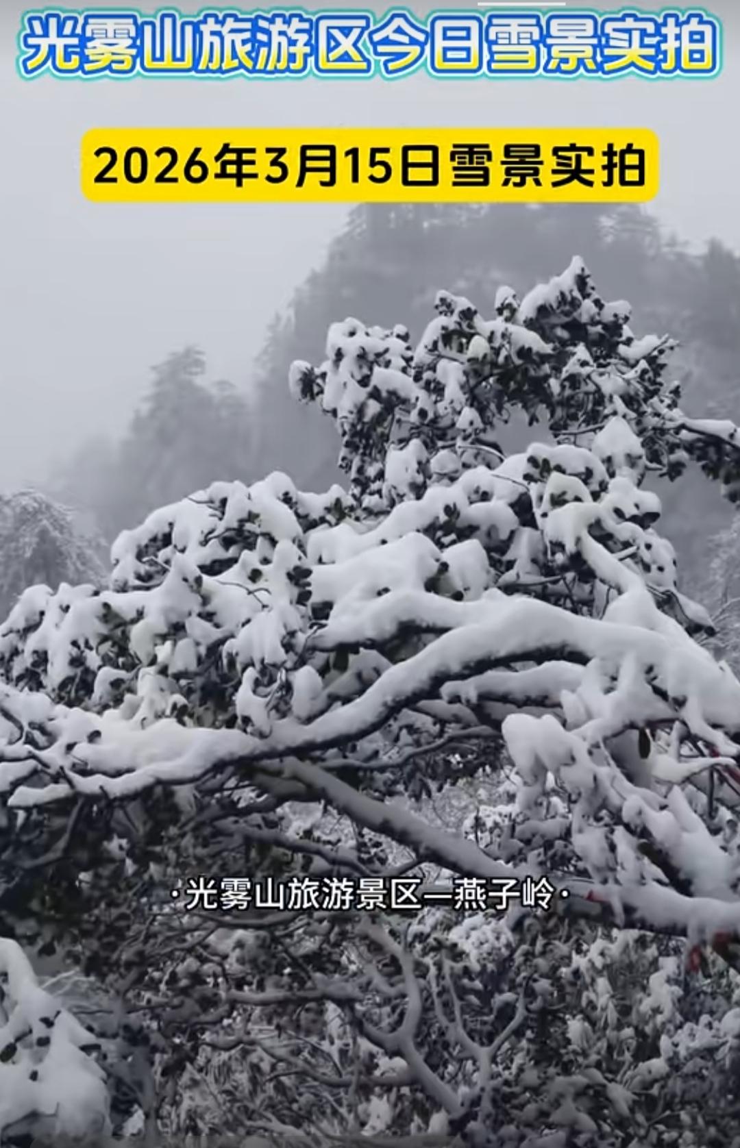 好消息，四川省巴中市南江县光雾山旅游区下雪啦！