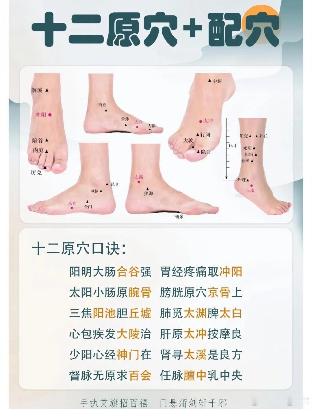 五脏有疾，当取十二原（经文溯源+机理+落地小儿推拿）原文出处《灵枢·九针十二原》