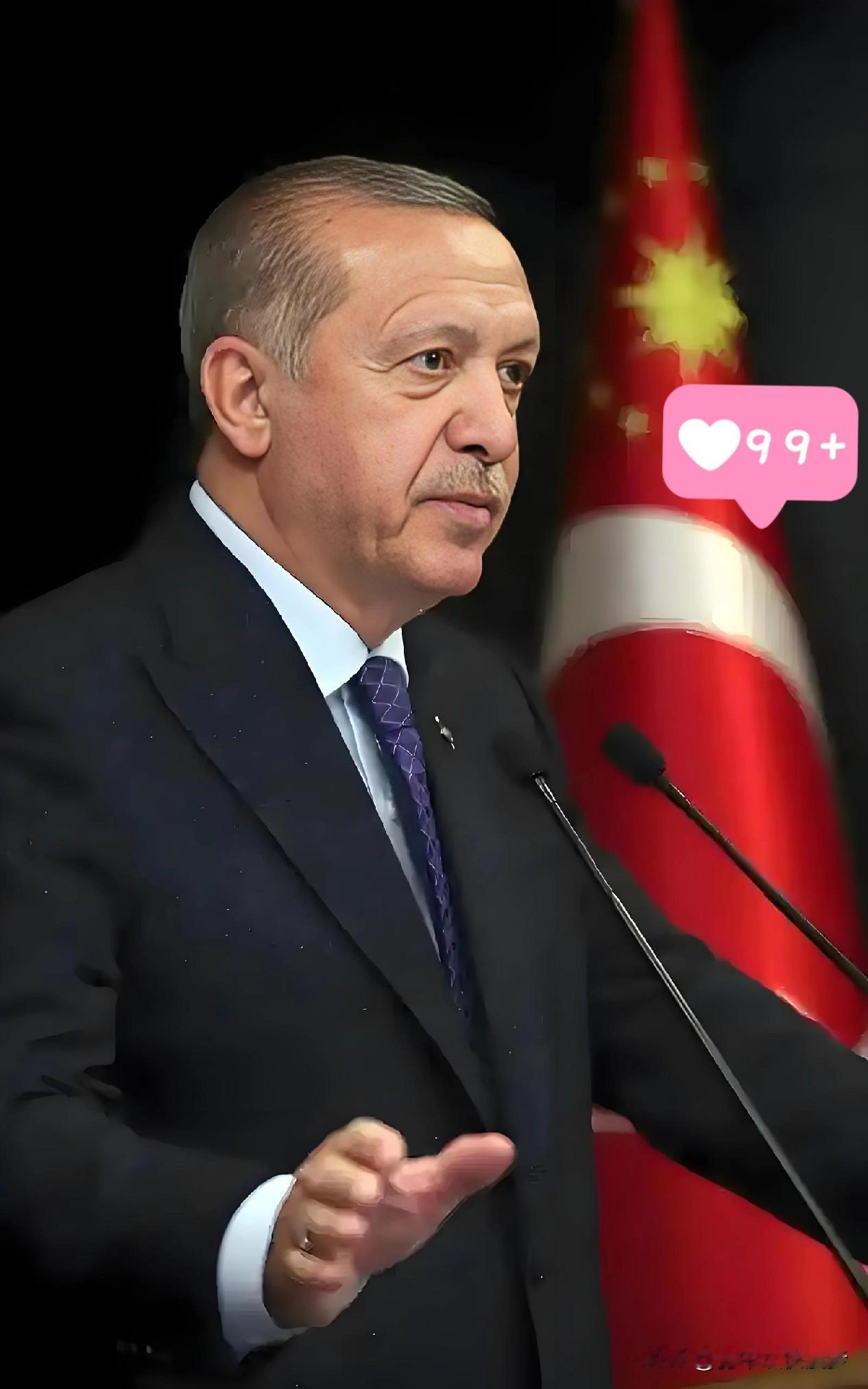 土耳其🇹🇷传来好消息！
2026年1月1日，据央视新闻、新华网等权威媒体报道