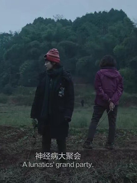 牛来