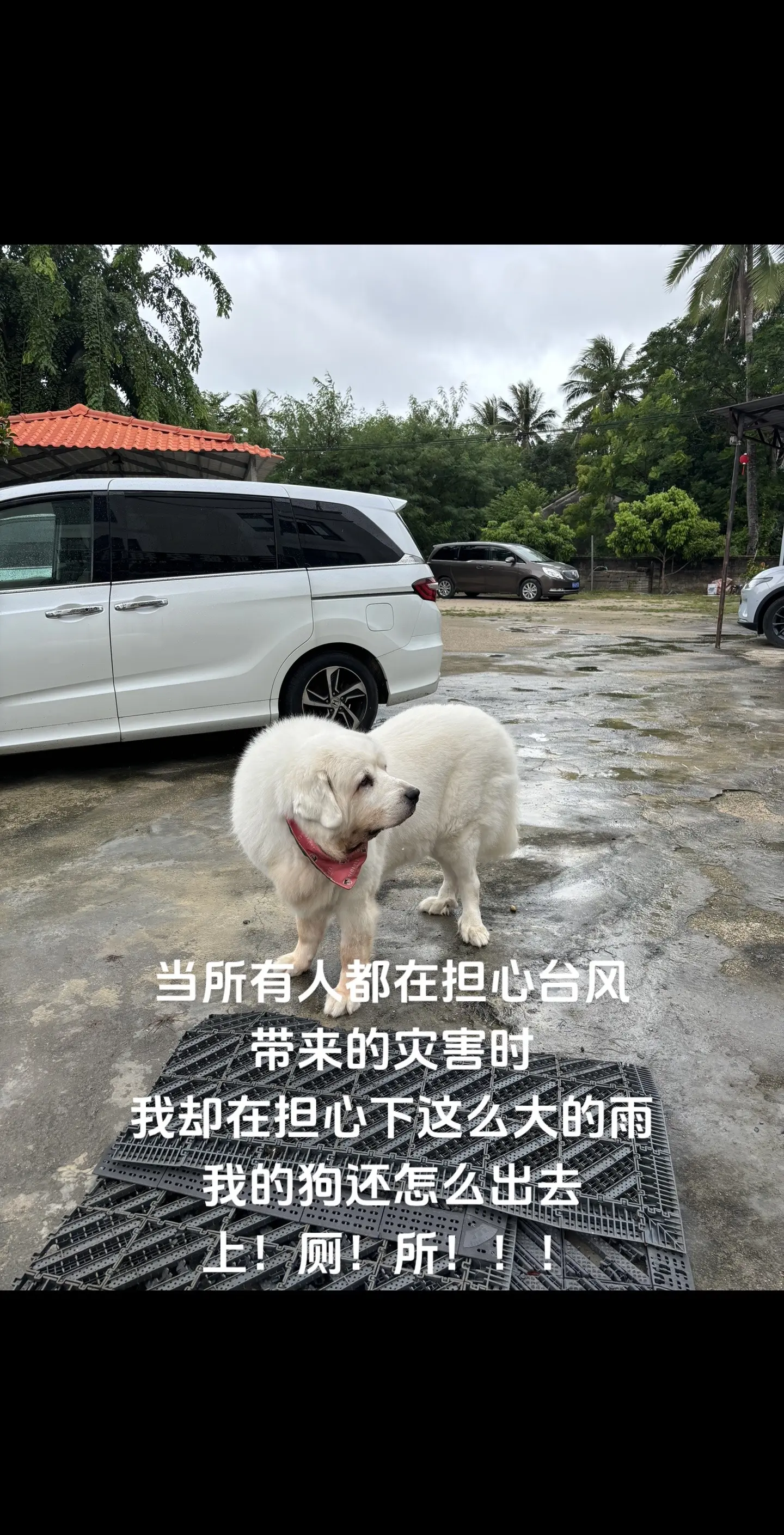 拉💩尿尿这点事儿，都成我心病了…