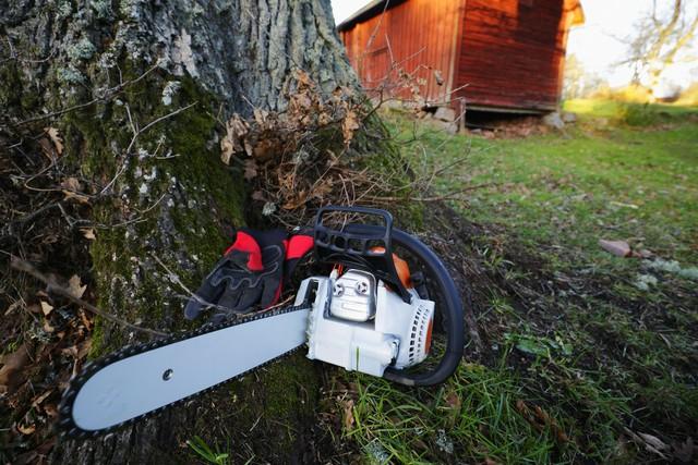 日本德国做梦都想不通：中国油锯，怎么就垄断了全球？

现在全世界大多数伐木工手里