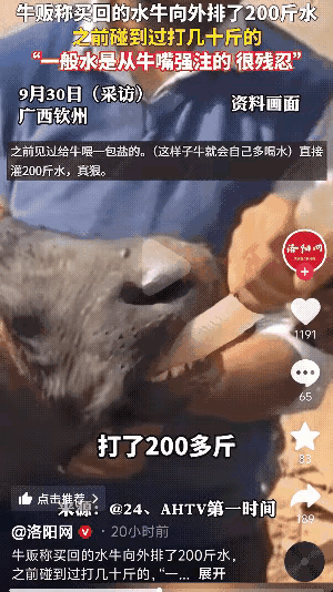 太没人性了！
广西钦州，一男子是做收牛营生的，但是这次收回来的牛，让他傻眼了。