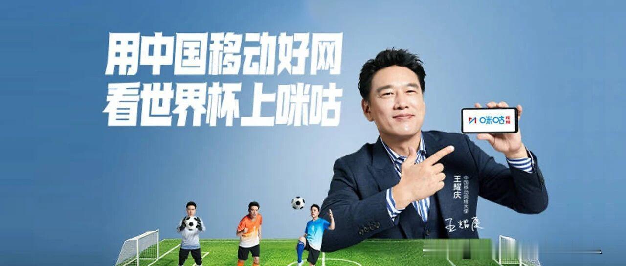 说实话我真的有很重的断网焦虑。只要手机信号变弱、WiFi断开，心里瞬间就慌了，总