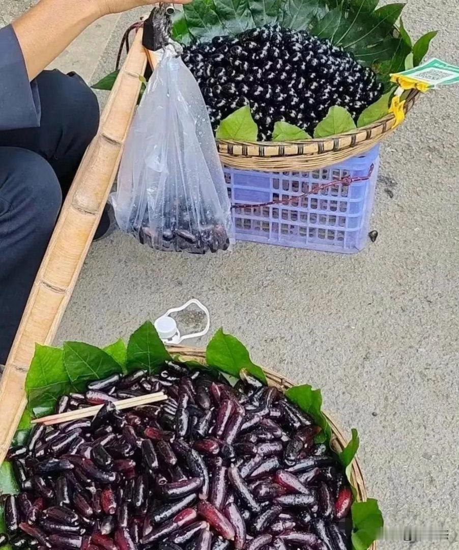 不懂就问，这些都是黑科技吗？ 